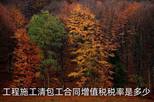 清包工 如何稅務(wù)，一般納稅人去國(guó)稅說明是清包工怎么寫說明