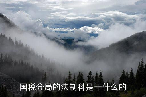 國稅法規(guī)科如何，地方稅務局 稅收法制科 怎么樣