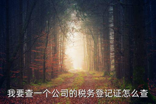 如何查企業(yè)的稅務(wù)登記證號，公司的稅務(wù)登記證號怎么查詢