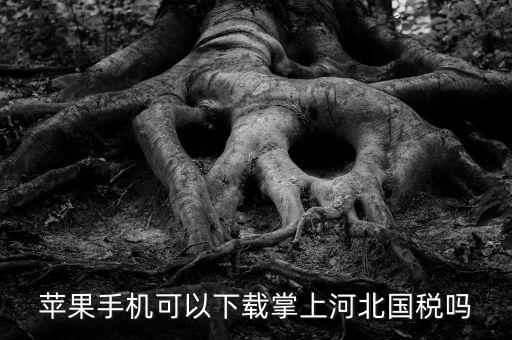 河北掌上國稅如何注冊，蘋果手機(jī)可以下載掌上河北國稅嗎