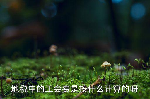 交地稅時的工會經(jīng)費如何計算方法，地稅中的工會費是按什么計算的呀
