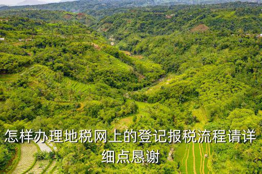 怎樣辦理地稅網(wǎng)上的登記報稅流程請詳細(xì)點(diǎn)懇謝