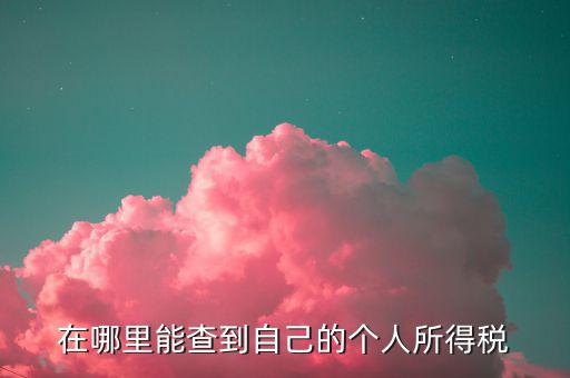 如何 查稅法，查看稅收法