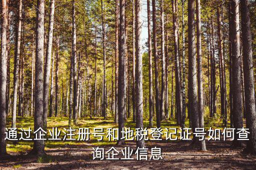 企業(yè)稅務(wù)信息如何查詢，通過(guò)企業(yè)注冊(cè)號(hào)和地稅登記證號(hào)如何查詢企業(yè)信息