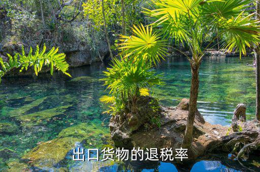 如何查詢產(chǎn)品的退稅率，產(chǎn)品的出口退稅率要怎么查詢