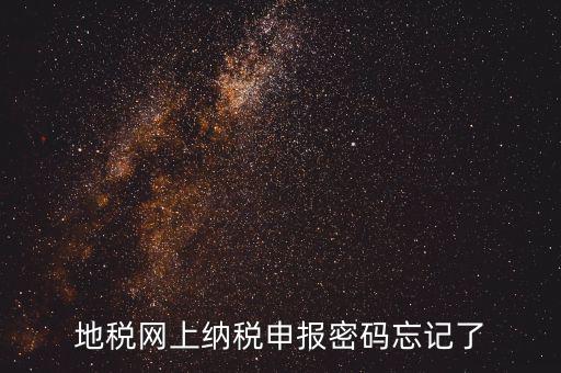 網(wǎng)報如何復制密碼，地稅網(wǎng)上納稅申報密碼忘記了