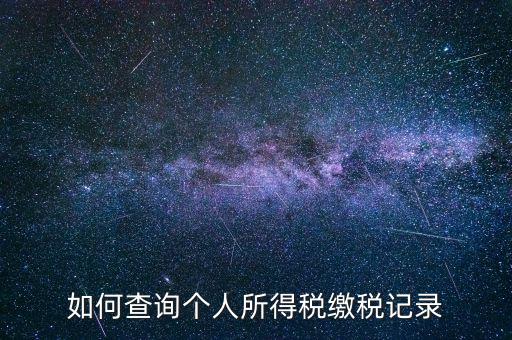 上海地稅局如何查個人所得稅繳稅記錄，上海市工資個稅繳納記錄如何查詢