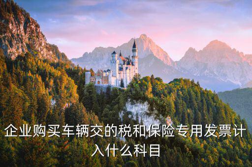 汽車保險收到專票如何入賬，車輛保險怎么入賬