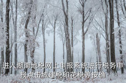 湖南省地稅局個人如何注冊，湖南地稅網(wǎng)上申報系統(tǒng)