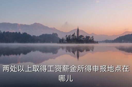 兩處所得如何申報工資，兩處以上取得工資薪金所得申報地點在哪兒