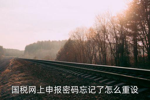 網(wǎng)上稅務(wù)局登錄密碼如何重置，國(guó)稅網(wǎng)上申報(bào)密碼忘記了怎么重設(shè)