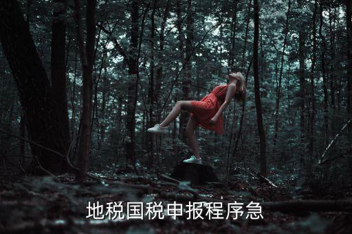 國稅地稅如何辦理流程，我想知道申報國稅地稅的流程包括前期需要什么資料期間如何
