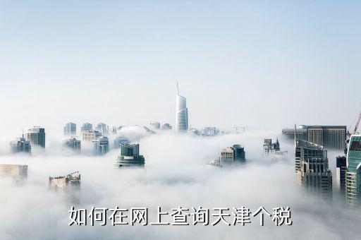 如何在網(wǎng)上查詢(xún)天津個(gè)稅