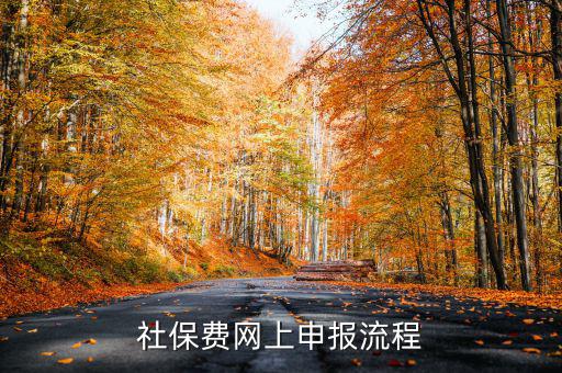 社保費(fèi)網(wǎng)上申報流程