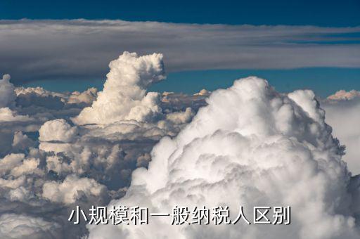 一般納稅人和小規(guī)模納稅人如何區(qū)分，小規(guī)模和一般納稅人的區(qū)別是什么