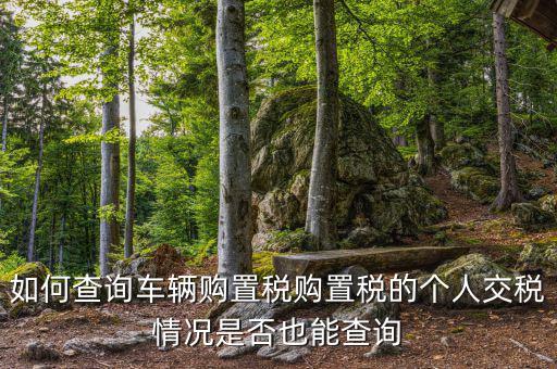 如何查汽車購置稅，我想查查我的車輛購置稅是多少怎么查