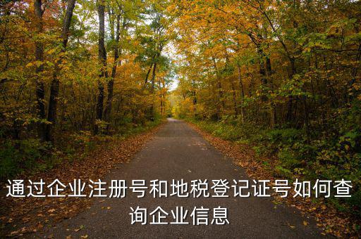 山東 如何查企業(yè)稅務(wù)信息，通過企業(yè)注冊號和地稅登記證號如何查詢企業(yè)信息