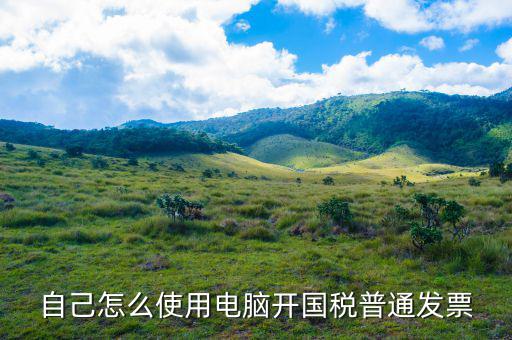 在國稅如何申請電子發(fā)票，怎麼申辦開具電子發(fā)票