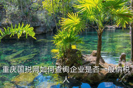 如何在國稅網(wǎng)查是否一般納稅人，怎么在網(wǎng)上查一個(gè)單位是不是一般納稅人