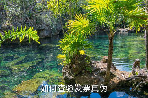 如何查詢專用發(fā)票真?zhèn)尾樵?，如何查?yàn)發(fā)票真?zhèn)?/></a></span><span id=