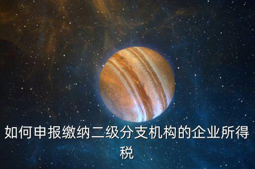 如何申報繳納二級分支機構的企業(yè)所得稅