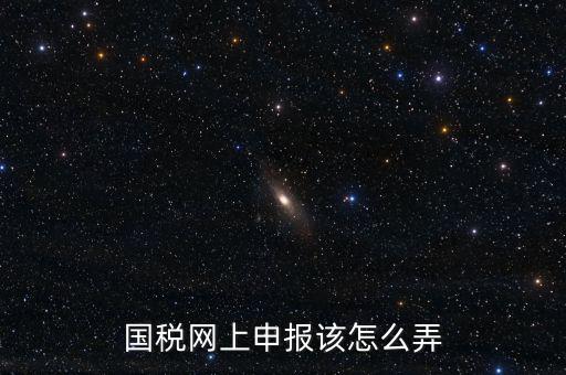 國稅新系統(tǒng)如何申報(bào)，國稅網(wǎng)上申報(bào)該怎么弄