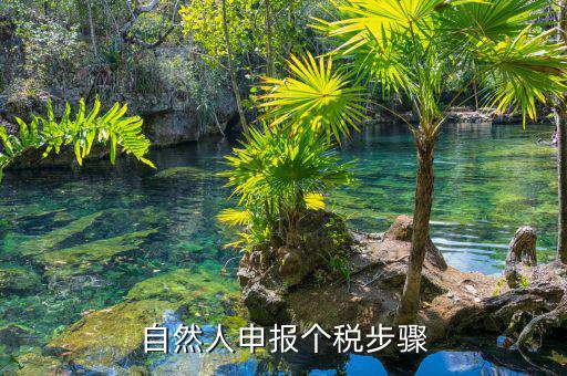 如何使用自然人納稅系統(tǒng)，新辦企業(yè)怎樣登錄自然人電子稅務(wù)局扣繳端