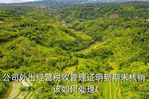 未核銷外經(jīng)證如何查詢，外經(jīng)證有效期在網(wǎng)上怎么查詢