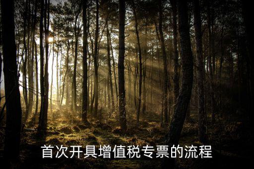 如何申請(qǐng)?jiān)鲋刀悓Ｆ?，怎么申辦專用發(fā)票
