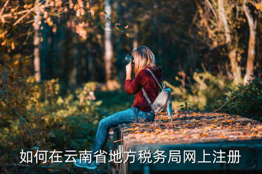 如何進入云南稅務系統(tǒng)上報稅，如何在云南省地方稅務局網(wǎng)上注冊