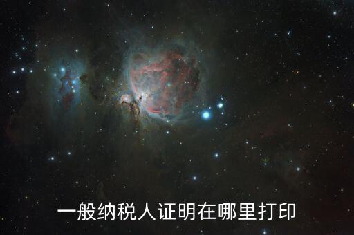 如何打印一般納稅人證明文件，一般納稅人資格認(rèn)定表如何在網(wǎng)上打印文書