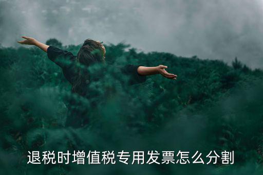 申報退稅如何分批，同一個退稅申報期內(nèi)可以申報2個批次嗎