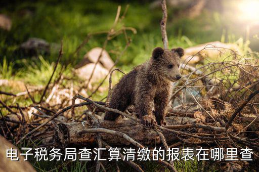 上海如何查詢(xún)匯算清繳，所得稅匯算清繳報(bào)告在金稅盤(pán)哪里查詢(xún)