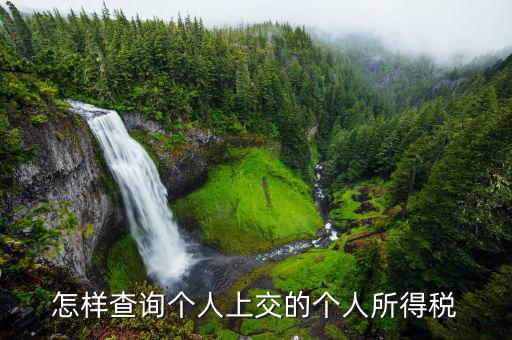 如何查詢個(gè)人稅務(wù)信息，怎樣查詢個(gè)人上交的個(gè)人所得稅