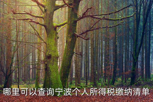 寧波個人納稅如何查詢，哪里可以查詢寧波個人所得稅繳納清單