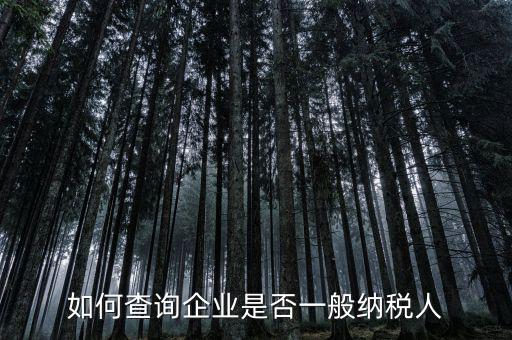 如何查詢(xún)企業(yè)是否一般納稅人