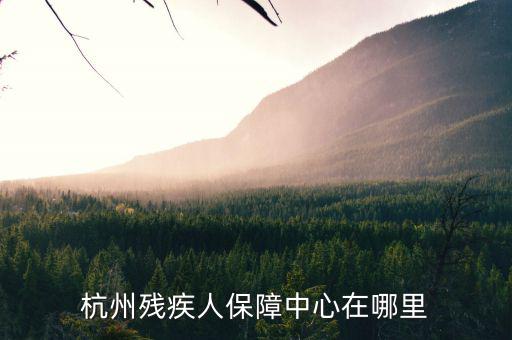 杭州市殘保證如何申請(qǐng)，杭州殘疾人保障中心在哪里