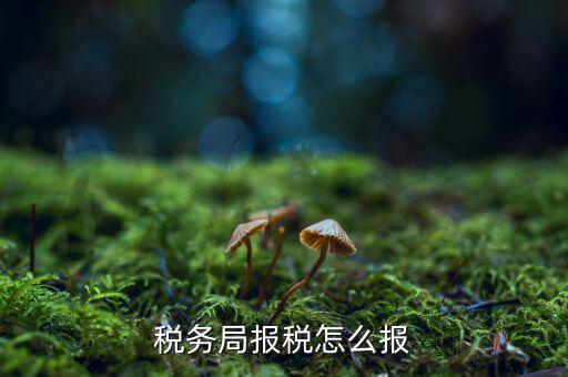 南通地稅如何申報，江蘇南通國家稅務(wù)局通用機打發(fā)票CIMS中沒有該用戶的申請或?qū)徟?/></a></span><span id=
