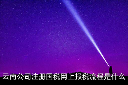 云南公司注冊國稅網上報稅流程是什么