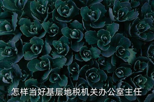 稅務(wù)部門如何抓好主體責(zé)任，如何做好稅收法規(guī)工作