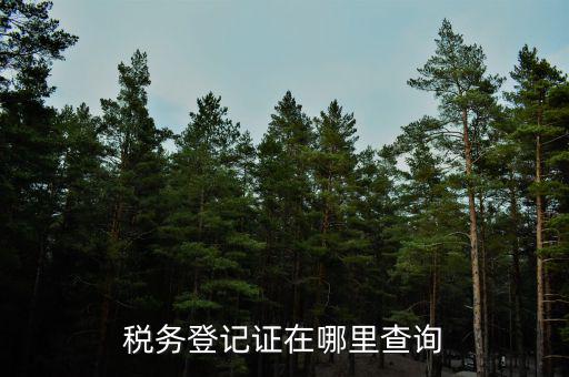 如何查地稅證書，如何查看個人名下的稅務(wù)證