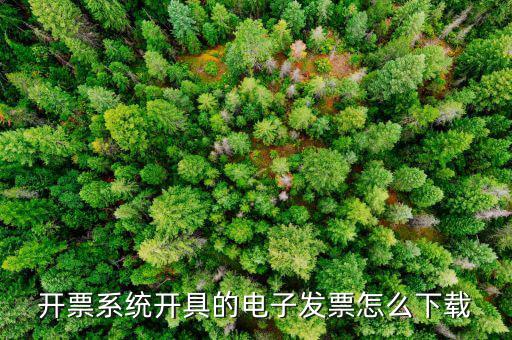 稅友的電子發(fā)票如何下載，開票系統(tǒng)開具的電子發(fā)票怎么下載