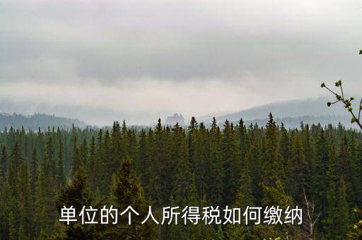 企業(yè)個(gè)人所得稅如何繳納，私營(yíng)企業(yè)職工個(gè)人所得稅如何繳納