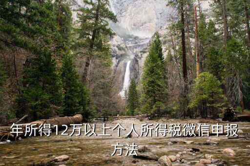 江蘇12萬元申報如何登錄申請，江蘇12萬元個人所得稅怎么申報