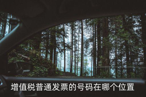 普票如何看碼，國(guó)稅普票代碼是幾位數(shù)字在什么位置