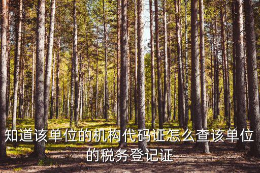 如何查企業(yè)稅務局登記，公司的稅務登記證號怎么查詢