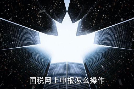 福建省國(guó)稅所得稅如何登入申報(bào)，福建省國(guó)稅申報(bào)相關(guān)問(wèn)題