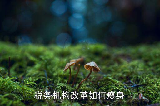 稅務(wù)改革期間如何作到兩不誤，關(guān)于稅改的問題