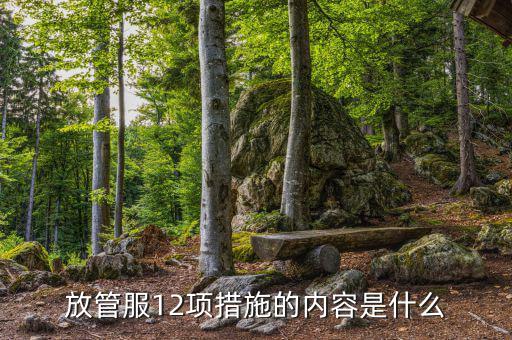 在放管服中如何加強審計稽察，放管服12項措施的內(nèi)容是什么
