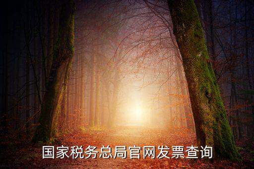 江蘇國稅如何查詢發(fā)票，江蘇發(fā)票真?zhèn)尾樵內(nèi)绾尾樵兘K發(fā)票真?zhèn)尾樵內(nèi)绾尾樵冏钪匾氖沁M(jìn)
